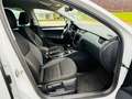 Skoda Octavia Combi Ambition DSG AHK SHZ Tüv/Au 11.27 Weiß - thumbnail 10