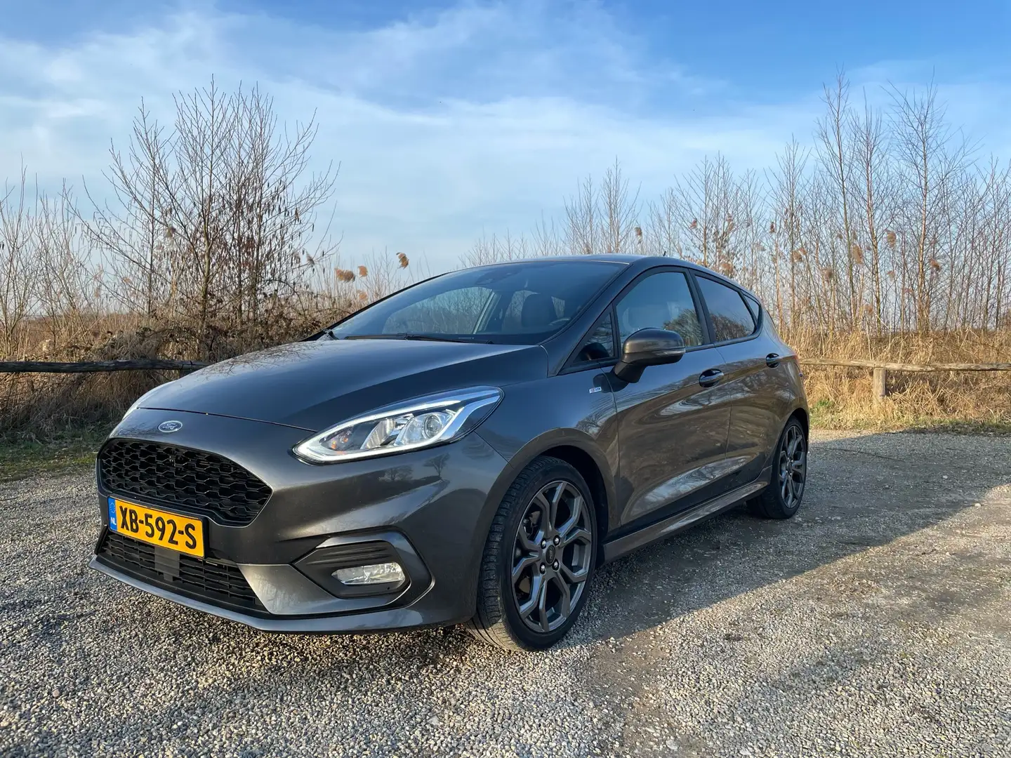 Ford Fiesta 1.0 EcoBoost ST-Line Grijs - 1