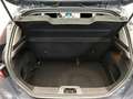 Ford Fiesta 1.6 TDCi Lease Titanium Navigatie Climate Cruise O Gri - thumbnail 20