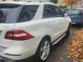 Mercedes-Benz ML 350 bt Premium c/xeno 4matic auto Бежевий - thumbnail 10