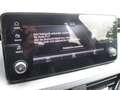Skoda Kamiq Essence TSI Grau - thumbnail 20