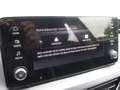 Skoda Kamiq Essence TSI Grau - thumbnail 17