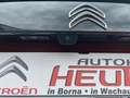 Citroen C4 Shine PureTech 130 EAT8 mit Pano-Dach Orange - thumbnail 6