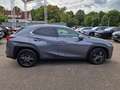 Lexus UX 250h Amazing Edition Keyless/PDC Grau - thumbnail 6