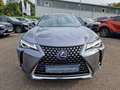 Lexus UX 250h Amazing Edition Keyless PDC Szürke - thumbnail 8