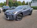 Lexus UX 250h Amazing Edition Keyless/PDC Grau - thumbnail 1