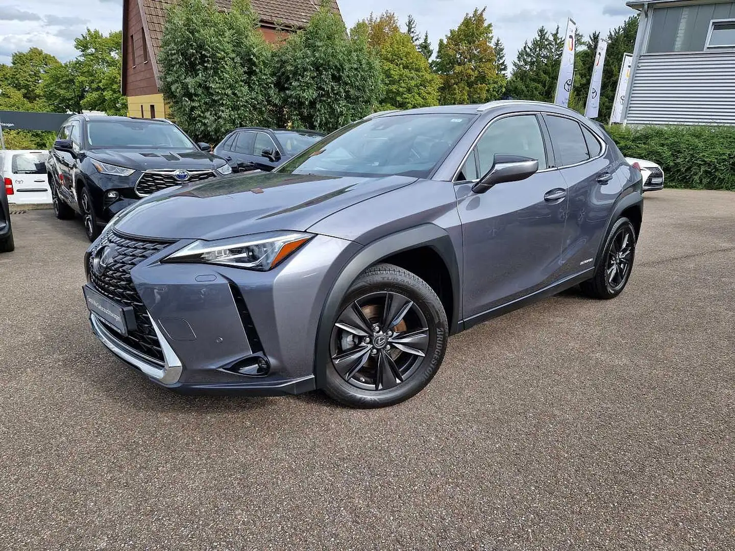 Lexus UX 250h Amazing Edition Keyless/PDC Grau - 1