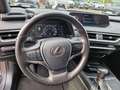 Lexus UX 250h Amazing Edition Keyless/PDC Grau - thumbnail 10