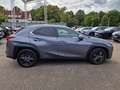 Lexus UX 250h Amazing Edition Keyless PDC Szürke - thumbnail 6