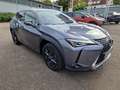 Lexus UX 250h Amazing Edition Keyless PDC Szürke - thumbnail 7