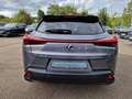 Lexus UX 250h Amazing Edition Keyless/PDC Grau - thumbnail 4