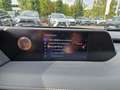 Lexus UX 250h Amazing Edition Keyless/PDC Grau - thumbnail 14