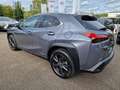 Lexus UX 250h Amazing Edition Keyless/PDC Grau - thumbnail 3