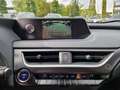 Lexus UX 250h Amazing Edition Keyless/PDC Grau - thumbnail 13