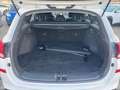 Hyundai i30 cw 1.5 T-GDi Edition 30+//Automatik!//Pano!!// Weiß - thumbnail 12
