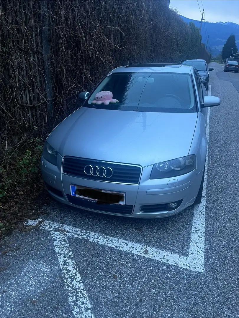 Audi A3 2.0 TDI Ambition Grau - 1