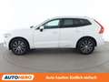 Volvo XC60 2.0 D4 Inscription AWD Weiß - thumbnail 3