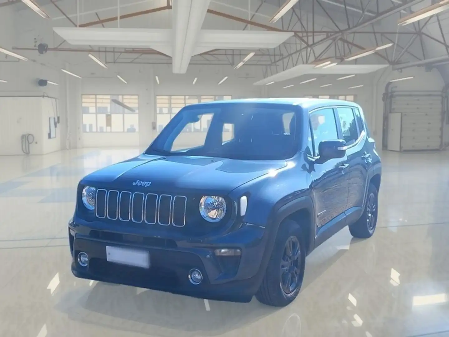 Jeep Renegade 1.0 T3 120cv Business - 1