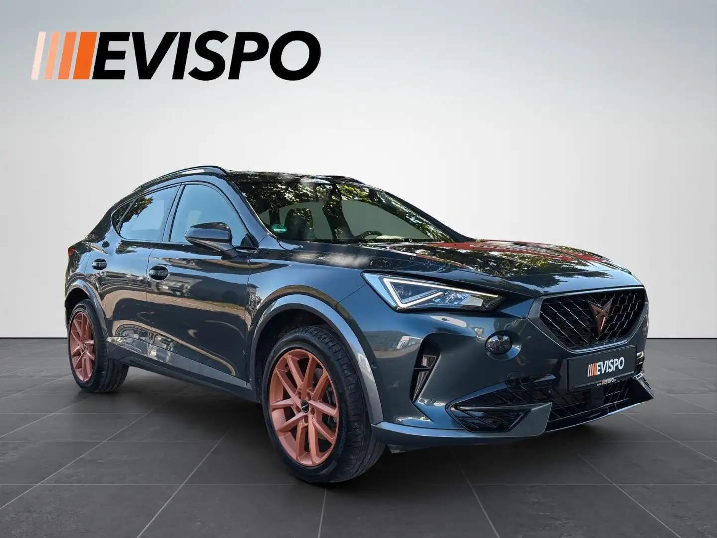 CUPRA Formentor *DAB*LHZ*SHZ*FINANZIERUNG Gris - 1