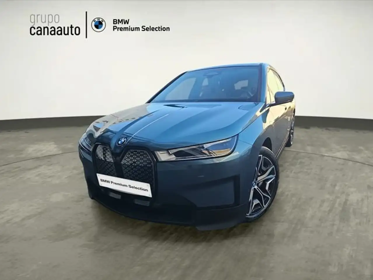 BMW iX