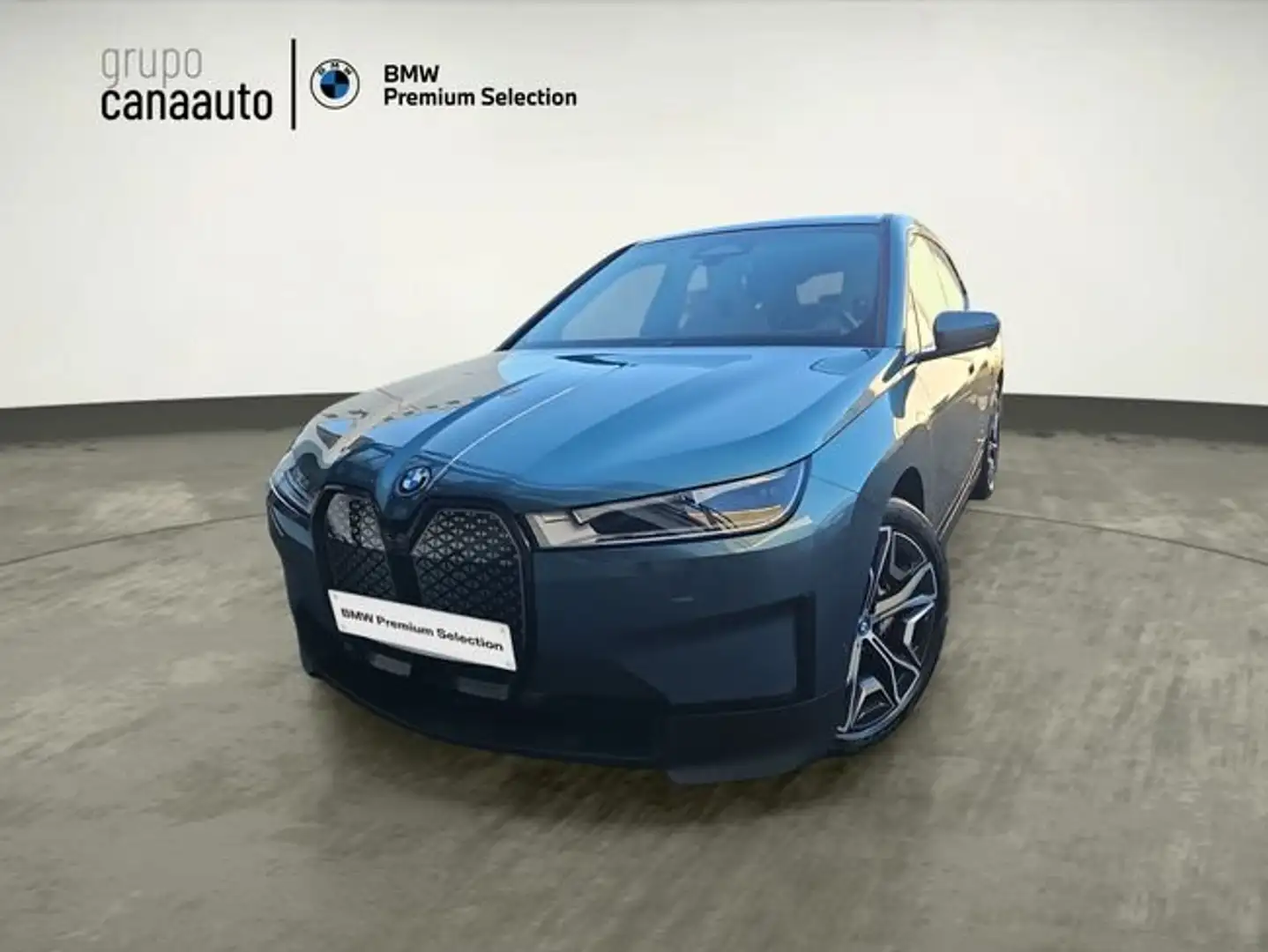BMW iX xDrive 40 Azul - 1