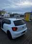 Volkswagen Polo United Weiß - thumbnail 7