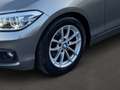 BMW 116 116 d Advantage Grau - thumbnail 6