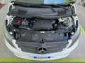 Mercedes-Benz Vito 111CDI TOURER 8P TAGLIANDI MERCEDES GARANZIA 24MES Wit - thumbnail 15