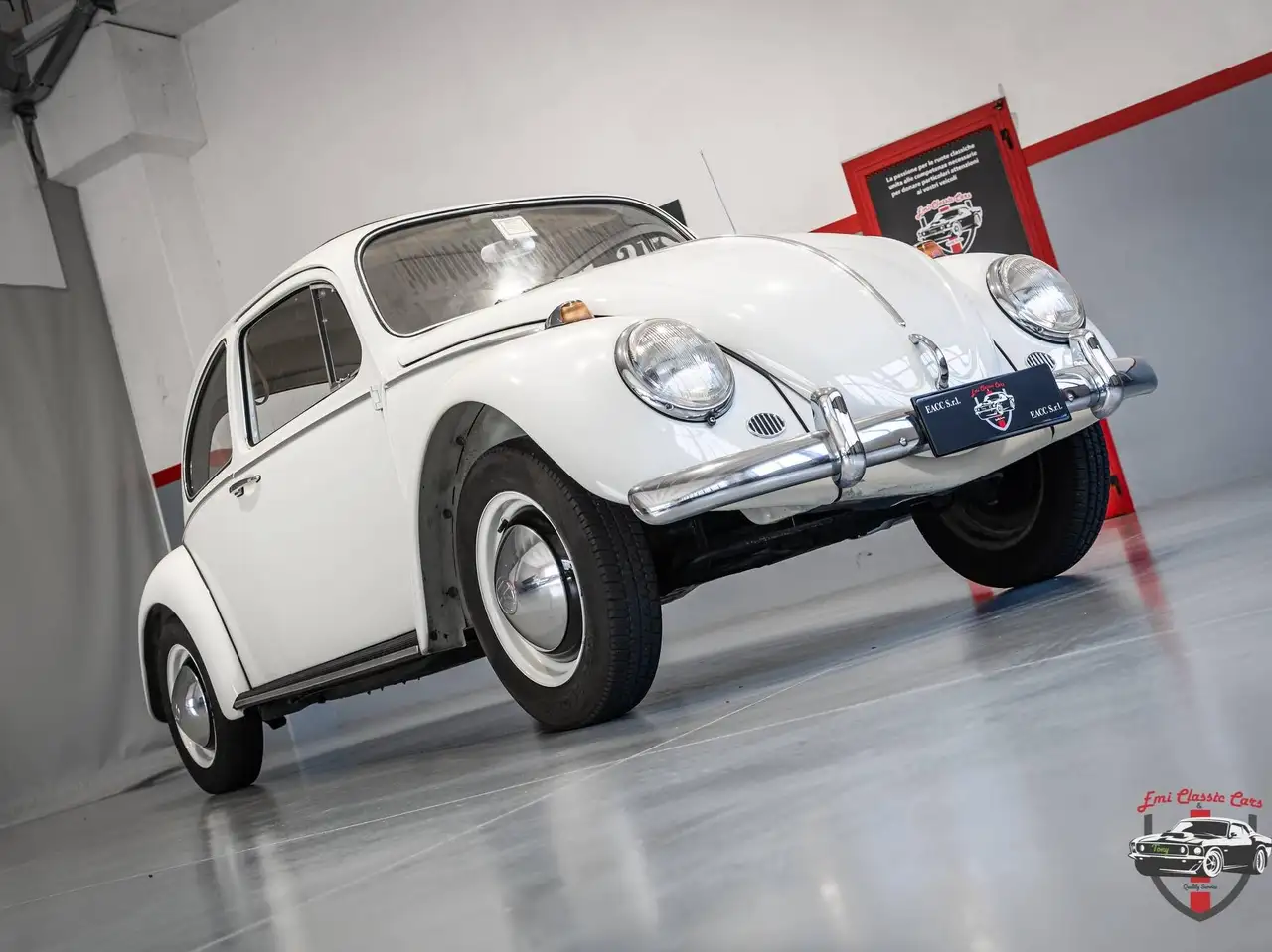 Volkswagen Maggiolino