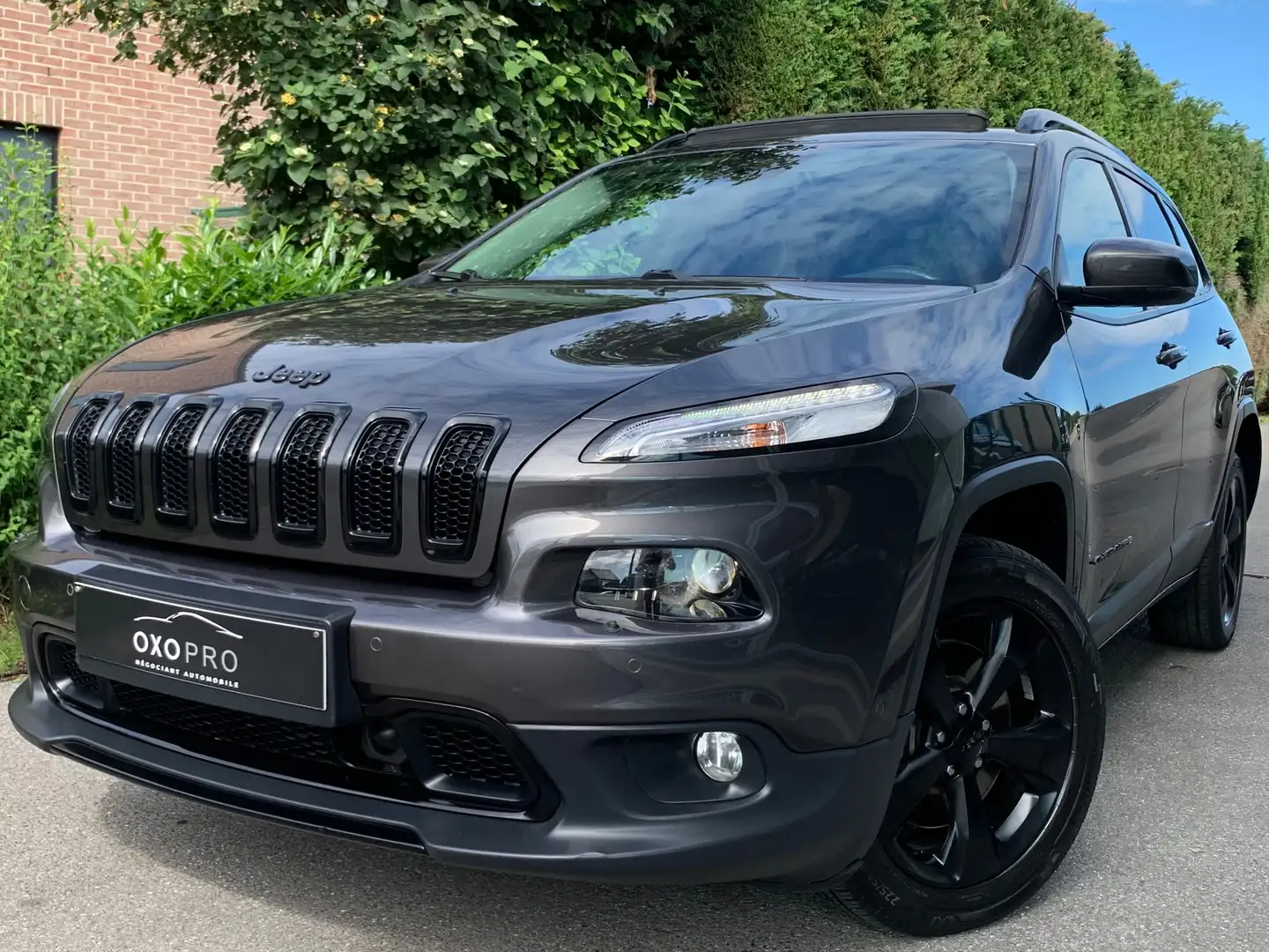 Jeep Cherokee 2.2D 200CV / 4x4 / Boite Auto / FULL OPTIONS / Grijs - 1