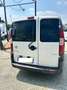 Fiat Doblo 1.9 MJT TETTO APRIBILE !! Blanc - thumbnail 4