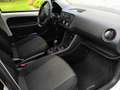 Skoda Citigo Citigo 1.0 MPI Cool Edition Weiß - thumbnail 5