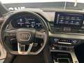 Audi Q5 SPB 40 TDI quattro S tronic S line plus Bianco - thumbnail 8