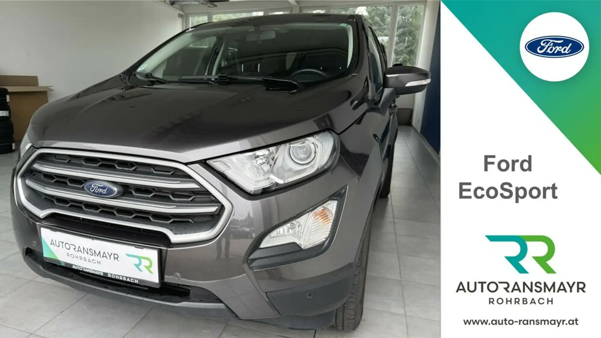 Ford EcoSport Trend Gris - 1