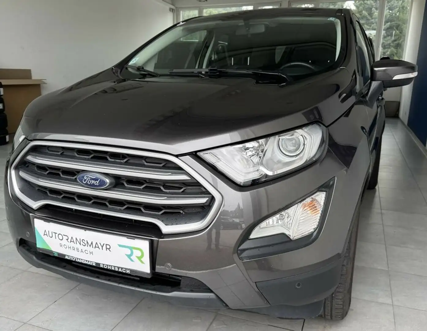 Ford EcoSport Trend Gris - 2