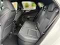Lexus NX 450h+ NX 2,5l Plug-in, CVT F SPORT Weiß - thumbnail 9