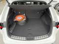 Lexus NX 450h+ NX 2,5l Plug-in, CVT F SPORT Weiß - thumbnail 10
