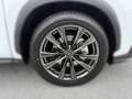 Lexus NX 450h+ NX 2,5l Plug-in, CVT F SPORT Weiß - thumbnail 5