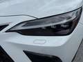 Lexus NX 450h+ NX 2,5l Plug-in, CVT F SPORT Weiß - thumbnail 12