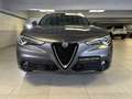 Alfa Romeo Stelvio 2.2 Turbo Diesel 190CV Ti AT8 Q4 Grigio - thumbnail 6
