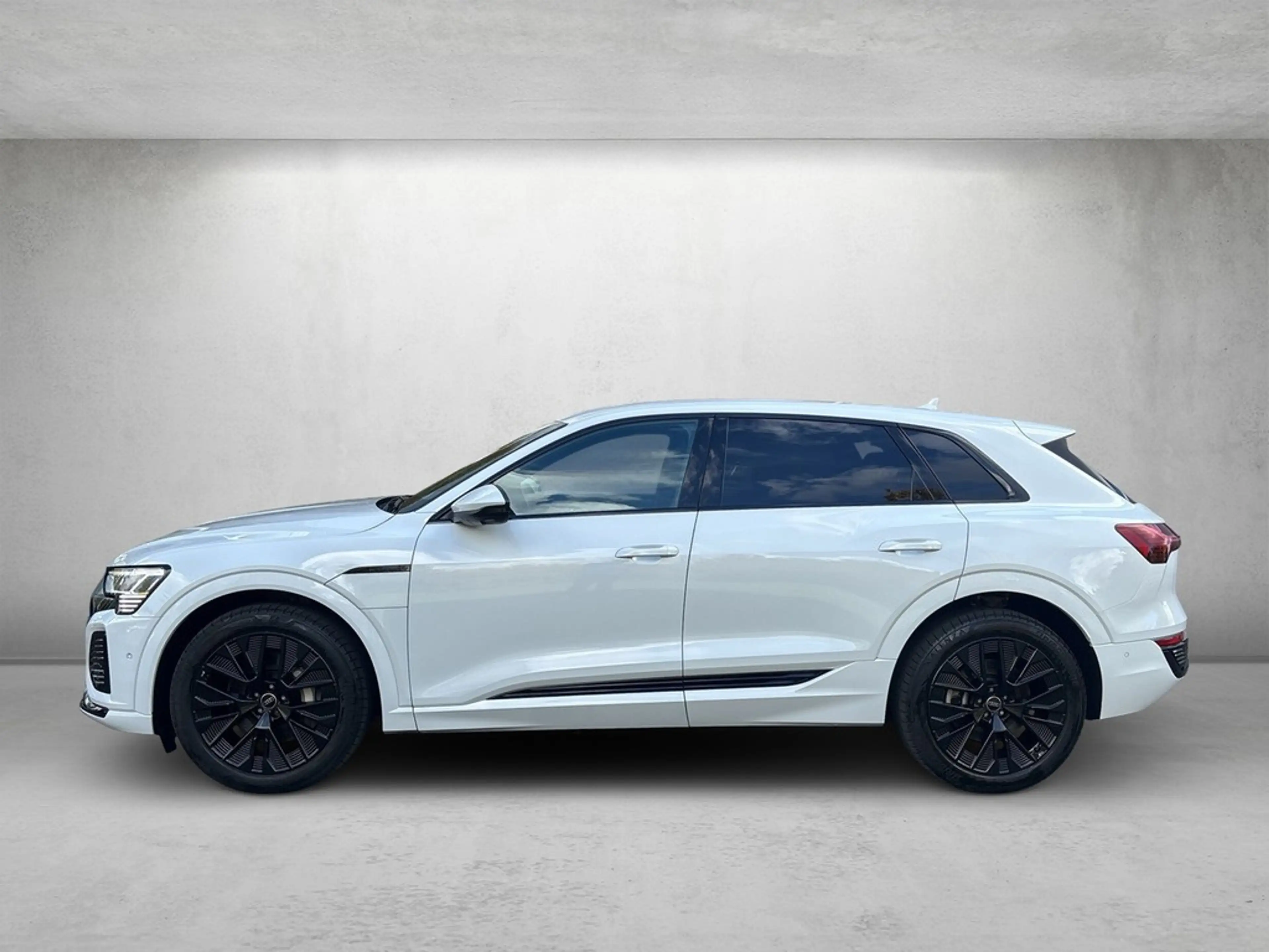 Audi Q8 e-tron S line 50 quattro *Matrix*B&O*360°* — photo 3