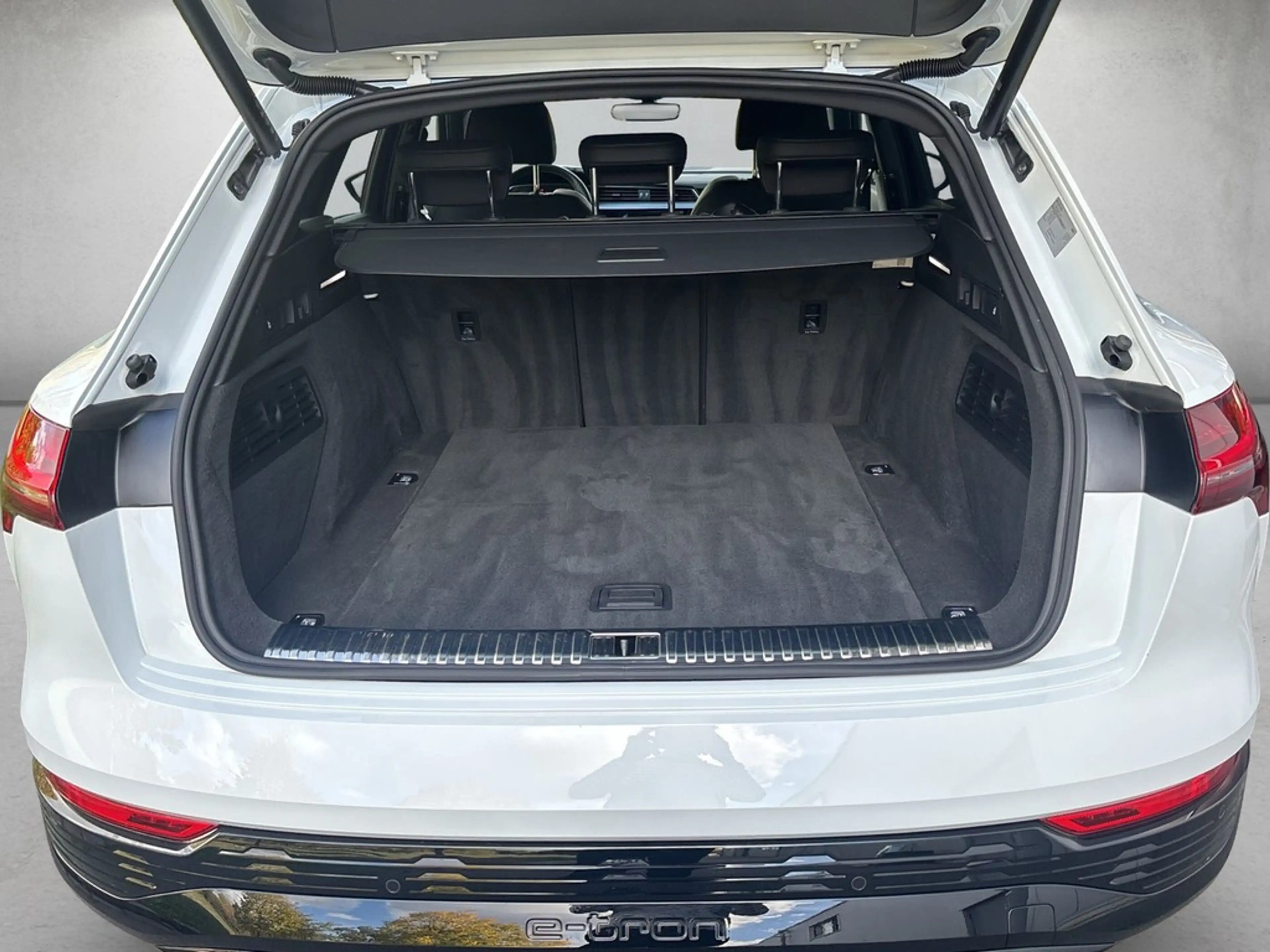 Audi Q8 e-tron S line 50 quattro *Matrix*B&O*360°* — photo 6