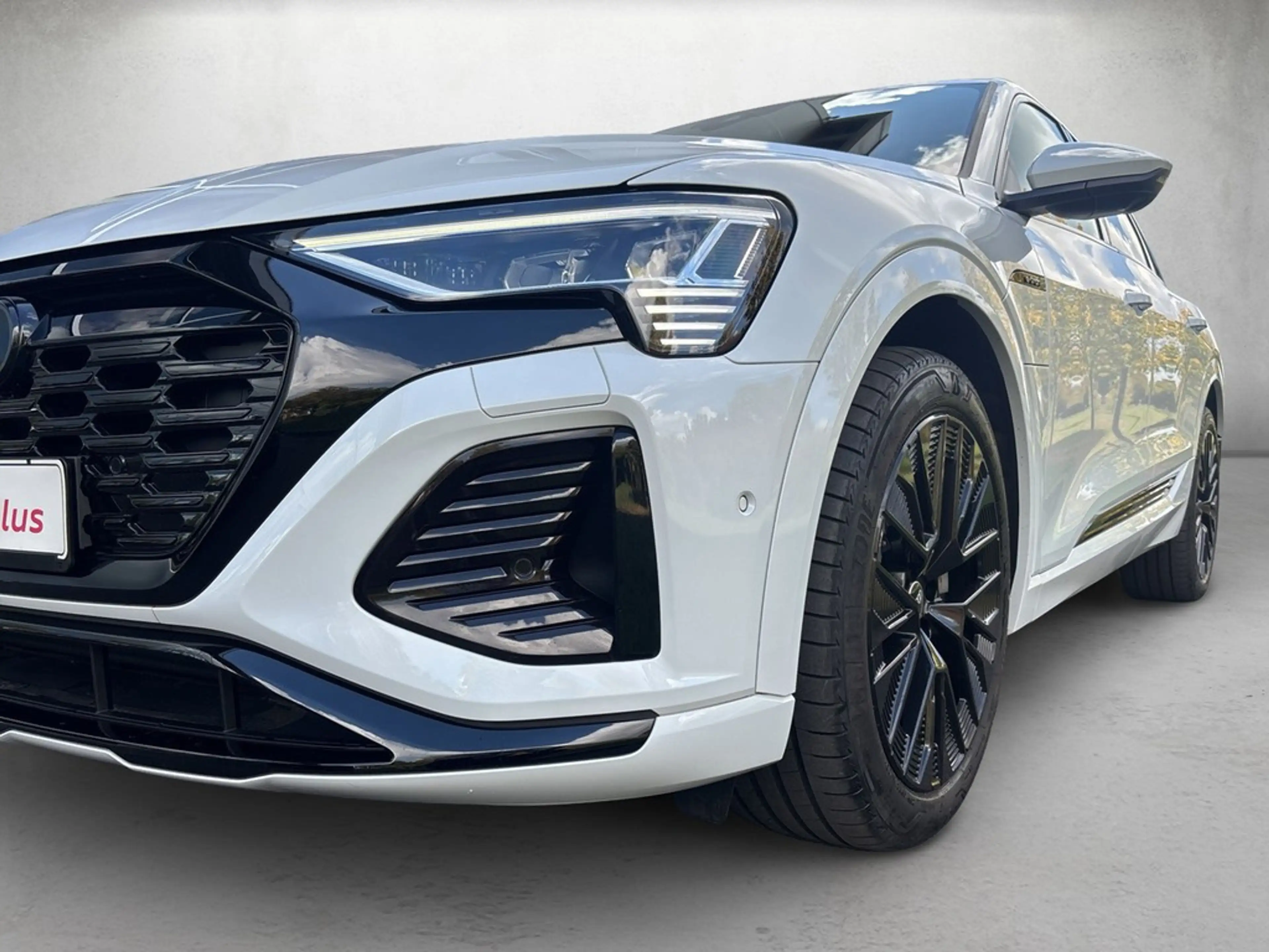 Audi Q8 e-tron S line 50 quattro *Matrix*B&O*360°* — photo 5