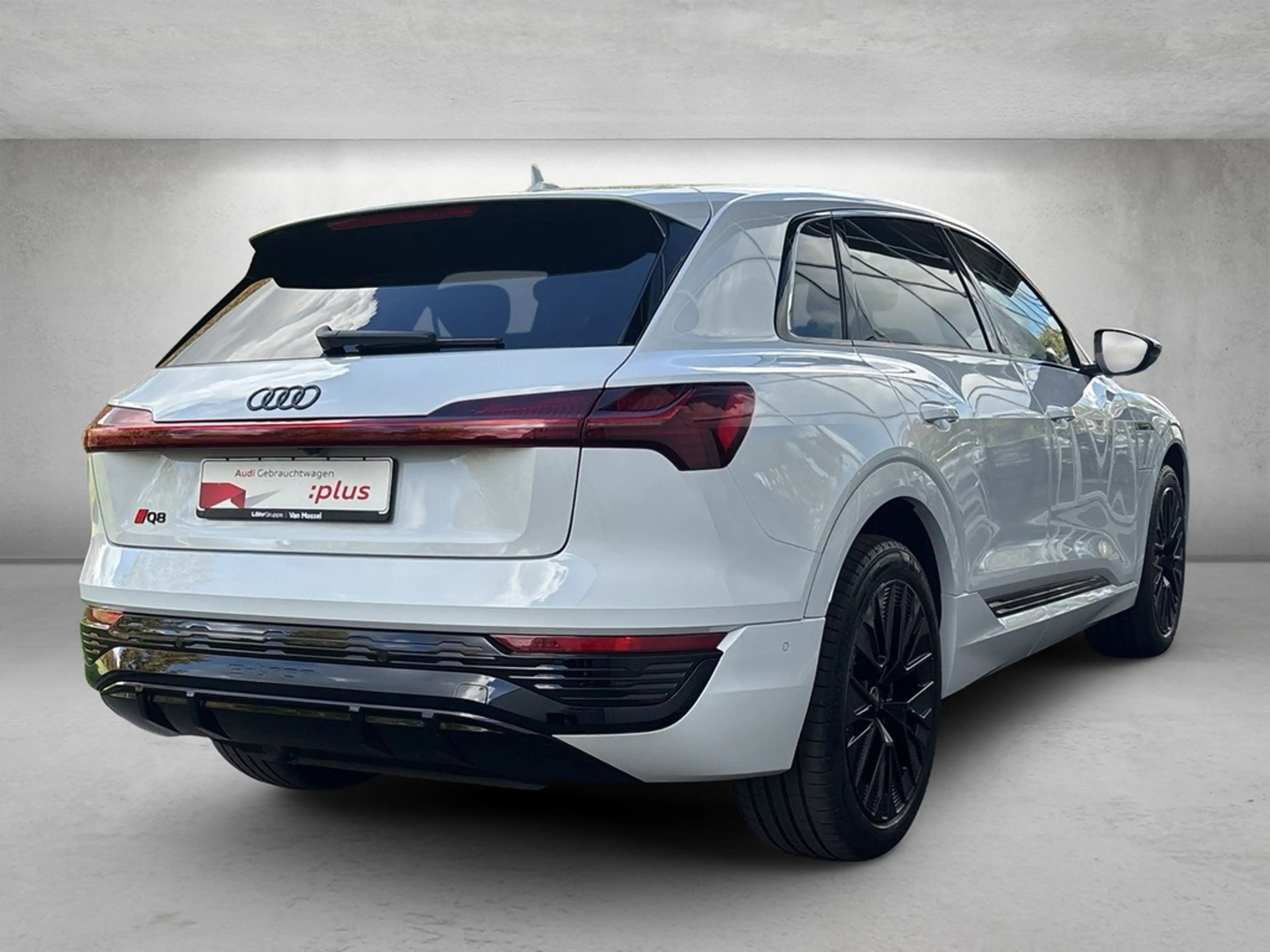 Audi Q8 e-tron S line 50 quattro *Matrix*B&O*360°* — photo 4