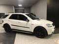 Mercedes-Benz ML 500 387 CV BIANCO PERLA CARBON LOOK “ PACK 63 AMG  “ Weiß - thumbnail 8