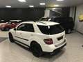 Mercedes-Benz ML 500 387 CV BIANCO PERLA CARBON LOOK “ PACK 63 AMG  “ Weiß - thumbnail 7