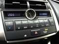 Lexus NX 300 NX Hybrid 4WD Executive Grey - thumbnail 23