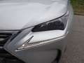 Lexus NX 300 NX Hybrid 4WD Executive Grey - thumbnail 10
