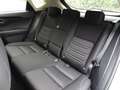 Lexus NX 300 NX Hybrid 4WD Executive siva - thumbnail 14