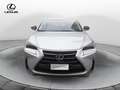 Lexus NX 300 NX Hybrid 4WD Executive Grey - thumbnail 3